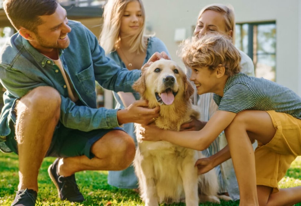 Terapias Integrativas como Ferramenta de Saúde nos Sistemas Biológicos Familiares Interespécies
